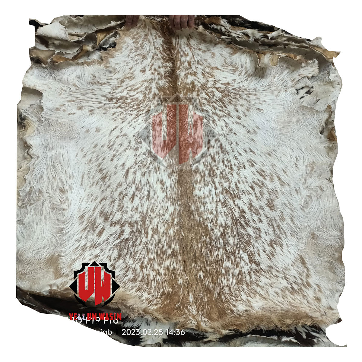10-Pieces Full animal Natural Transparent Goat Skins for all kinds of Drums By VW.