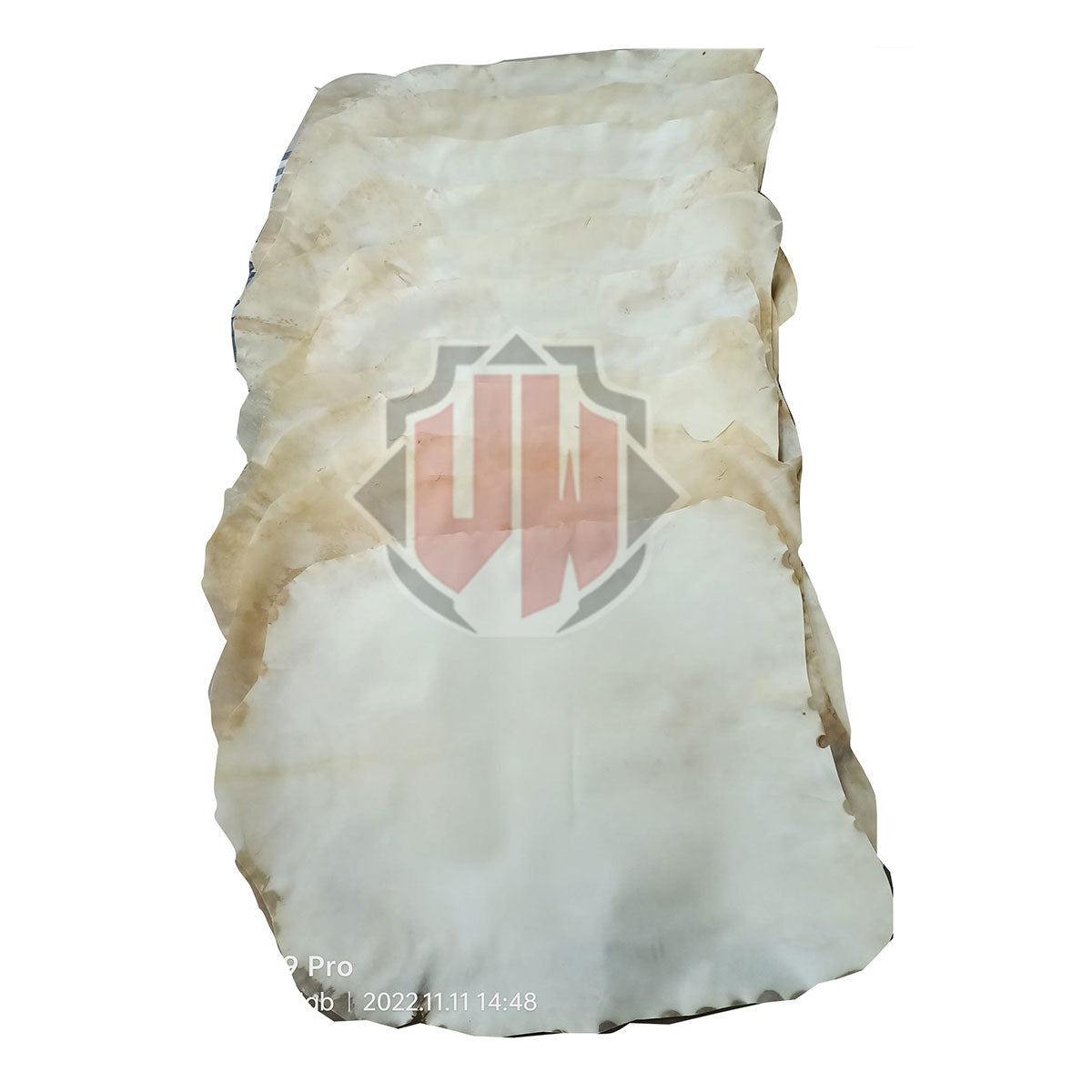 Full Animal Natural Goat Skin