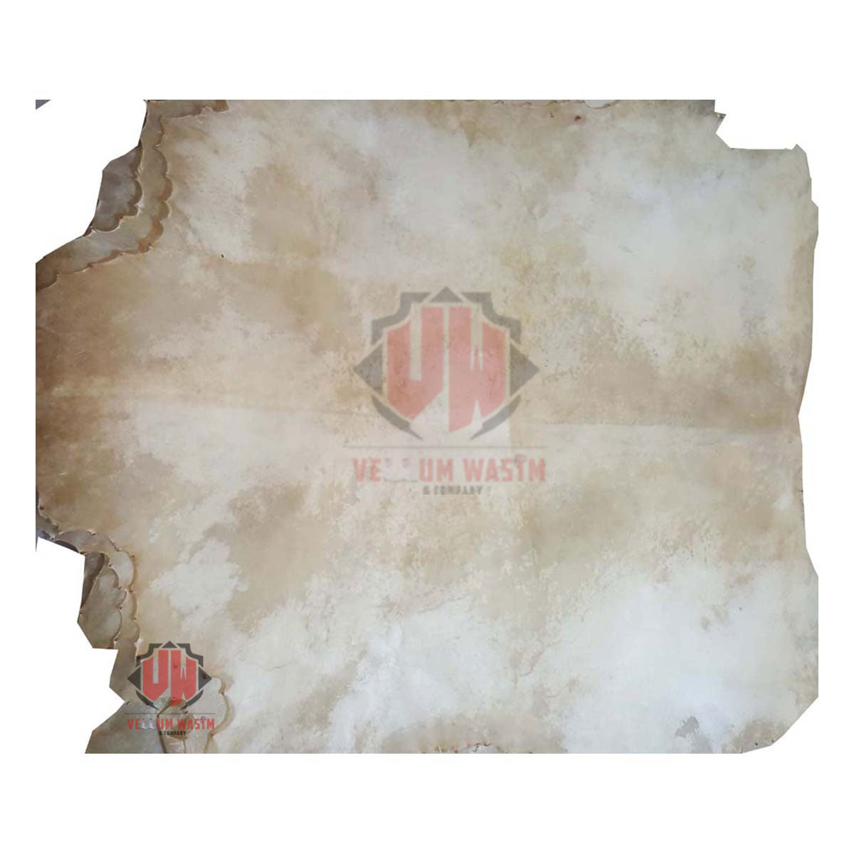 10-Pieces Full animal Natural Transparent Goat Skins for all kinds of Drums By VW.