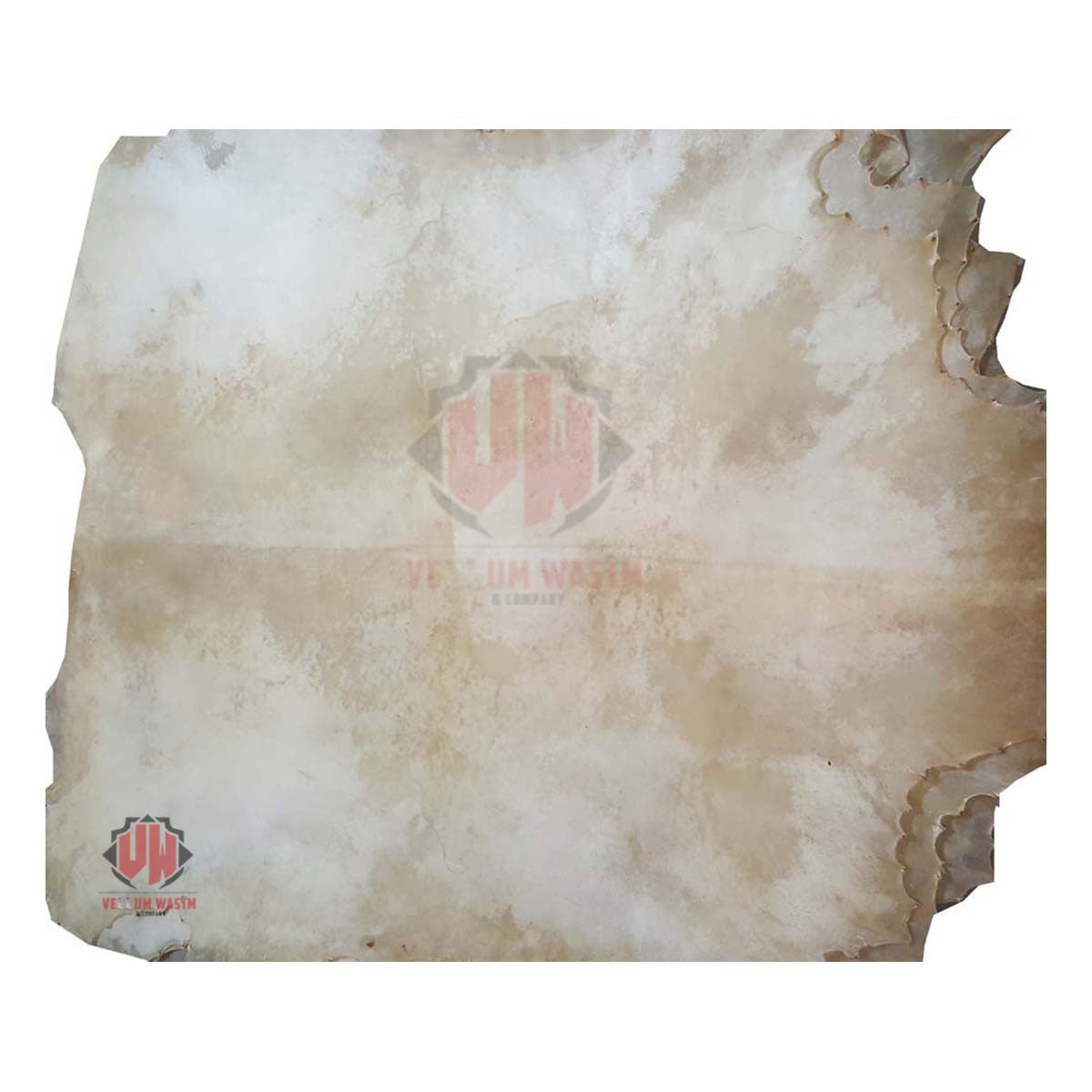 10-Pieces Full animal Natural Transparent Goat Skins for all kinds of Drums By VW.