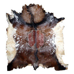 Full Goat Skin With Hair