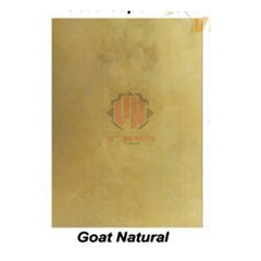 10-Pieces Goat Vellum Parchment in Various sizes & Quality for Calligraphy by VW