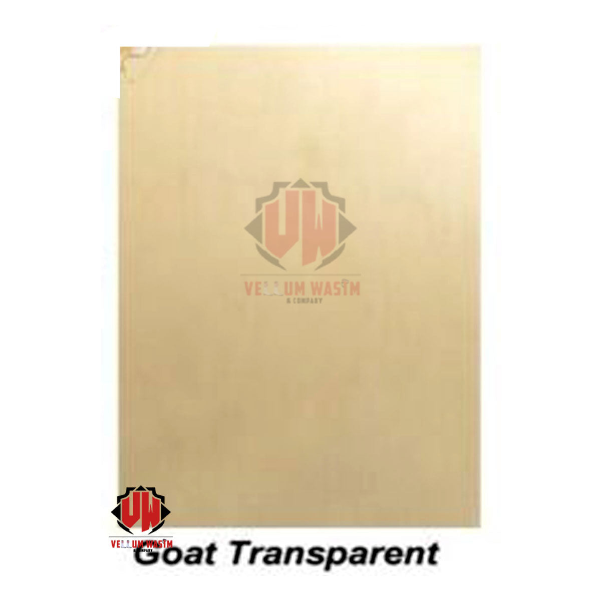10-Pieces Goat Vellum Parchment in Various sizes & Quality for Calligraphy by VW