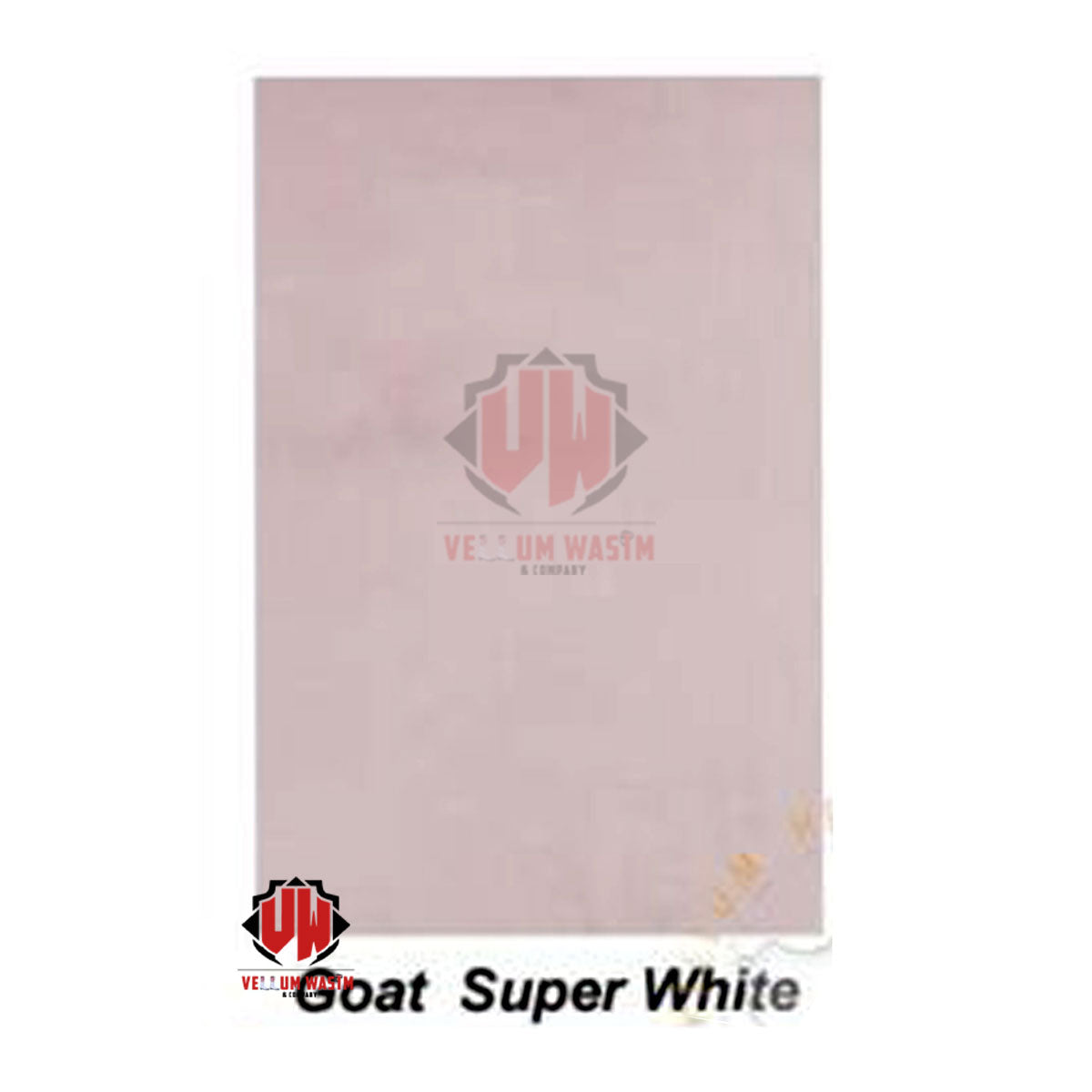 10-Pieces Goat Vellum Parchment in Various sizes & Quality for Calligraphy by VW