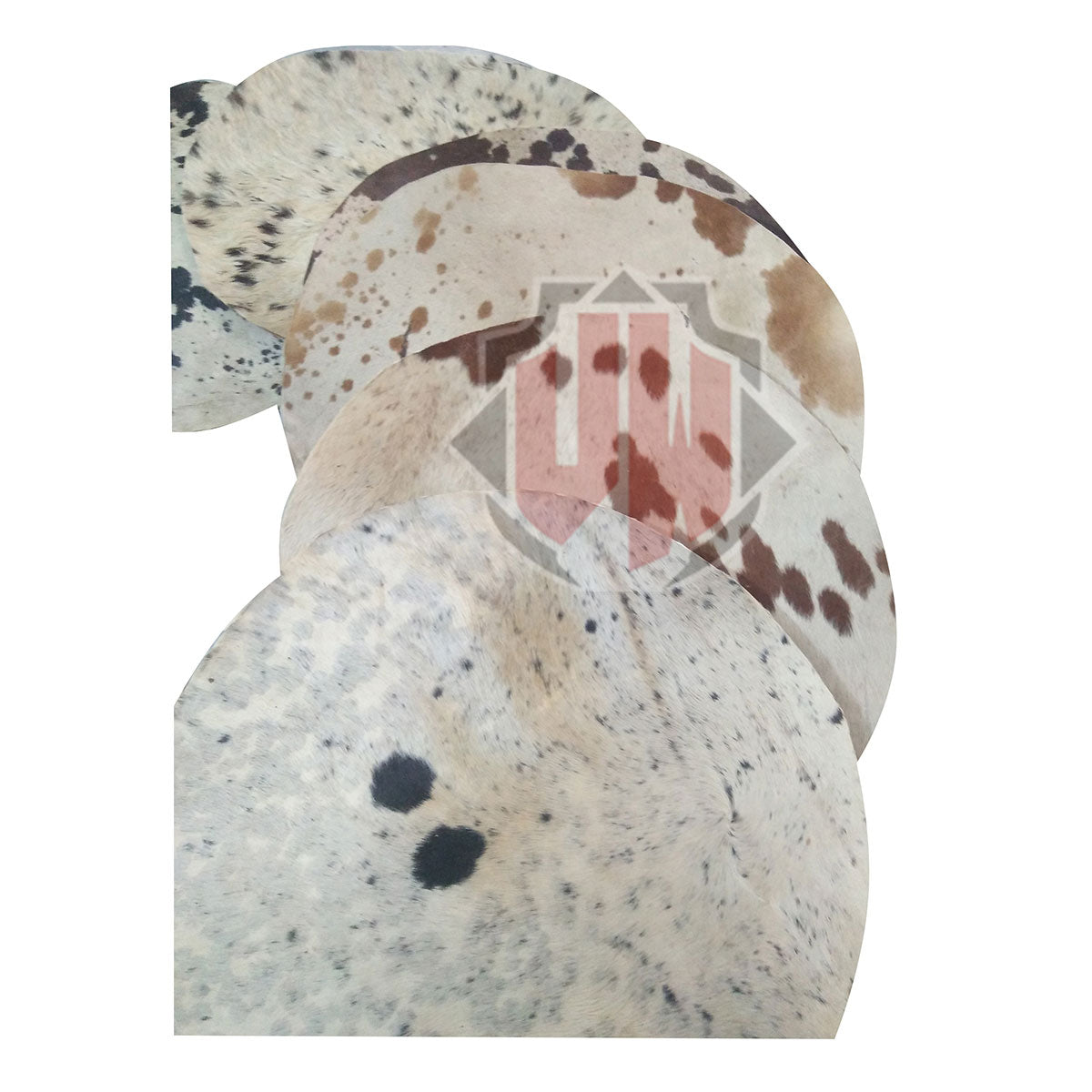 10 Pieces Cow  skins with Hair  for All kinds of Drums by Vellum Wasim.