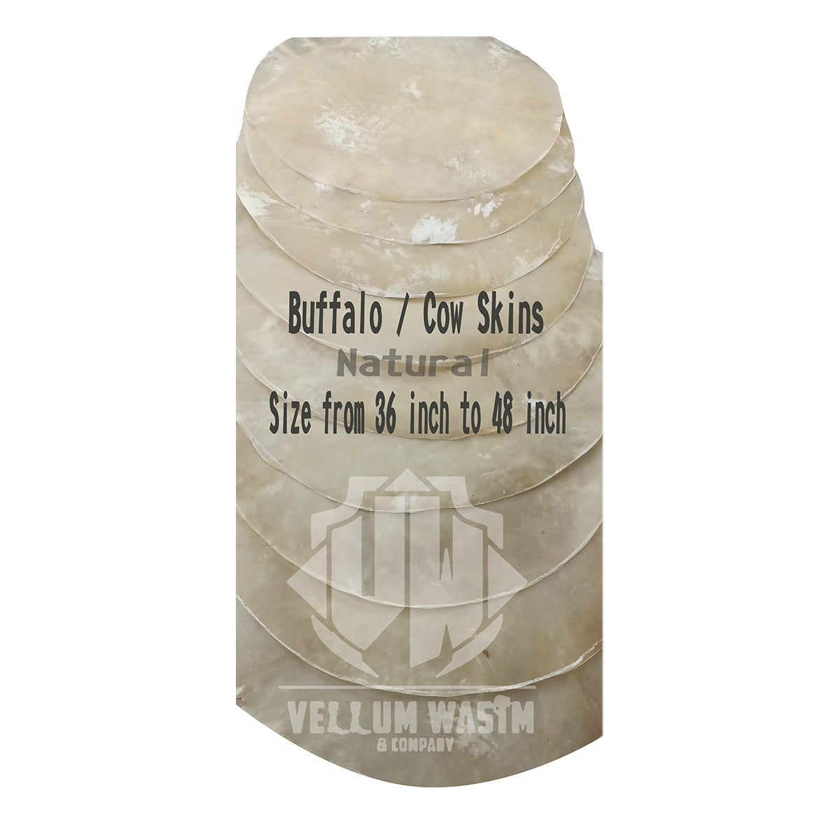 10 Pieces Natural Cow or Buffalo Skins for all kinds of Large Drums by VW.