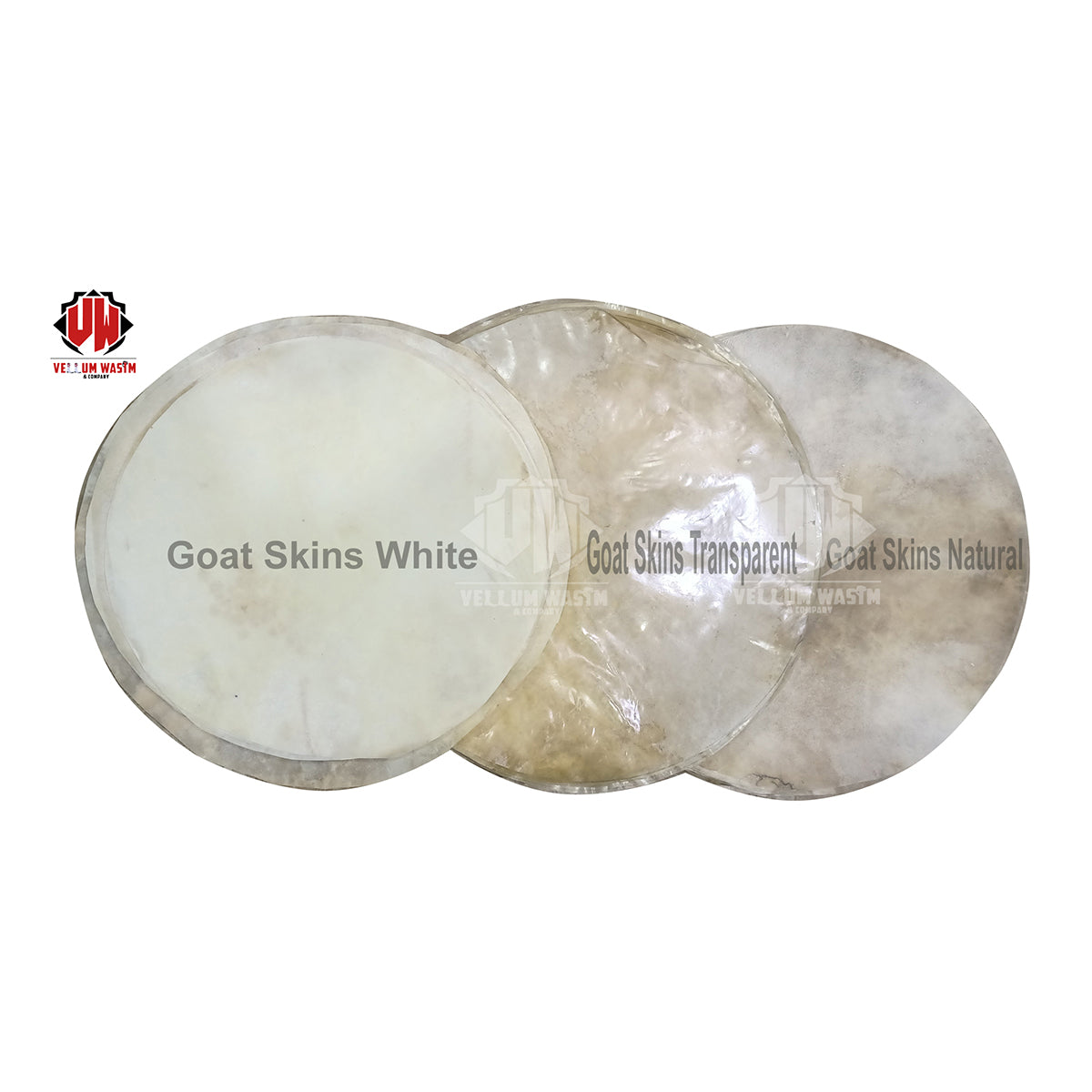 10 Pieces Goat Skins White,Natural ,Transparent for all kinds of Banjo Think Quality by VW.