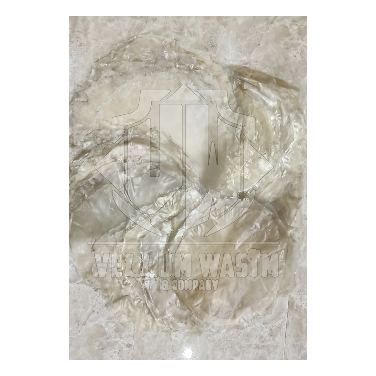 10 Pieces Goat Transparent Skins for Urumi ,Banjo Drums Thin Quality skins by VW.