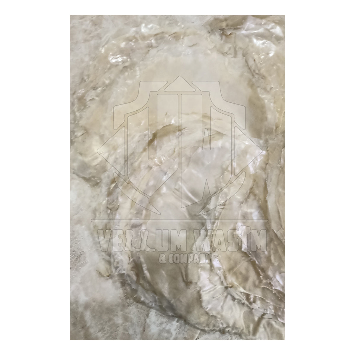 10 Pieces Goat Transparent Skins for Urumi ,Banjo Drums Thin Quality skins by VW.