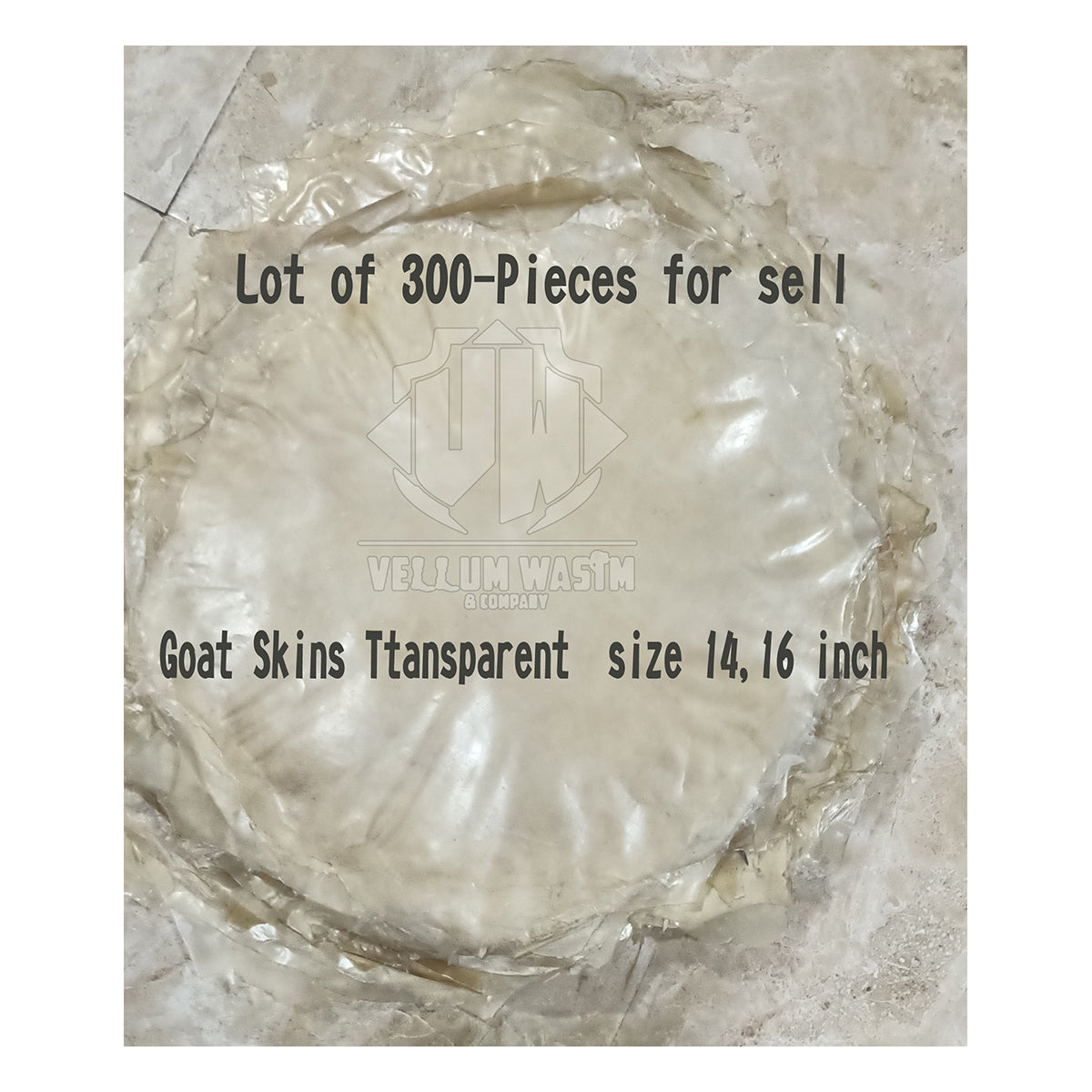 10 Pieces Goat Transparent Skins for Urumi ,Banjo Drums Thin Quality skins by VW.