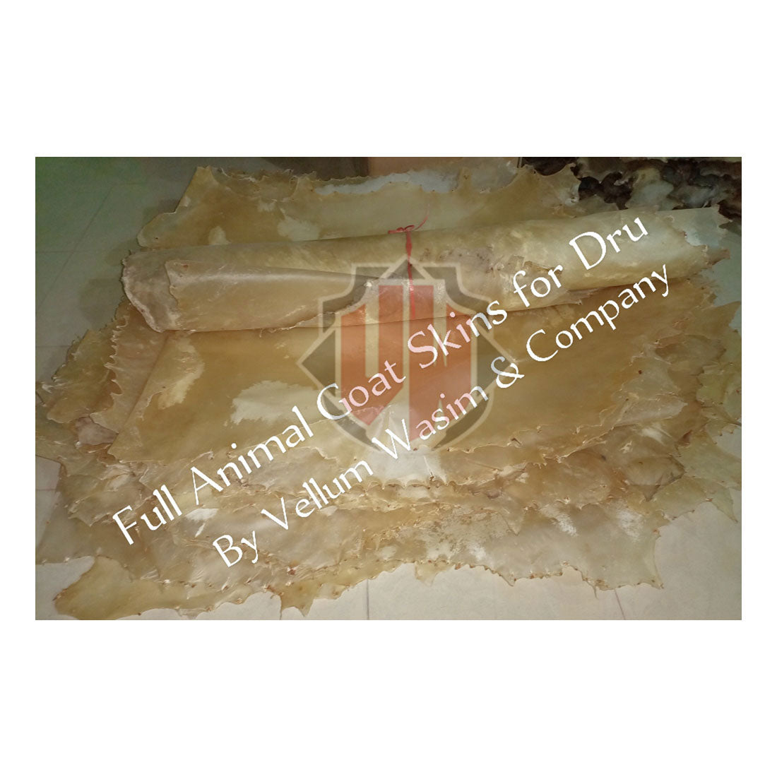 Full Animal Goat Skin For Drum