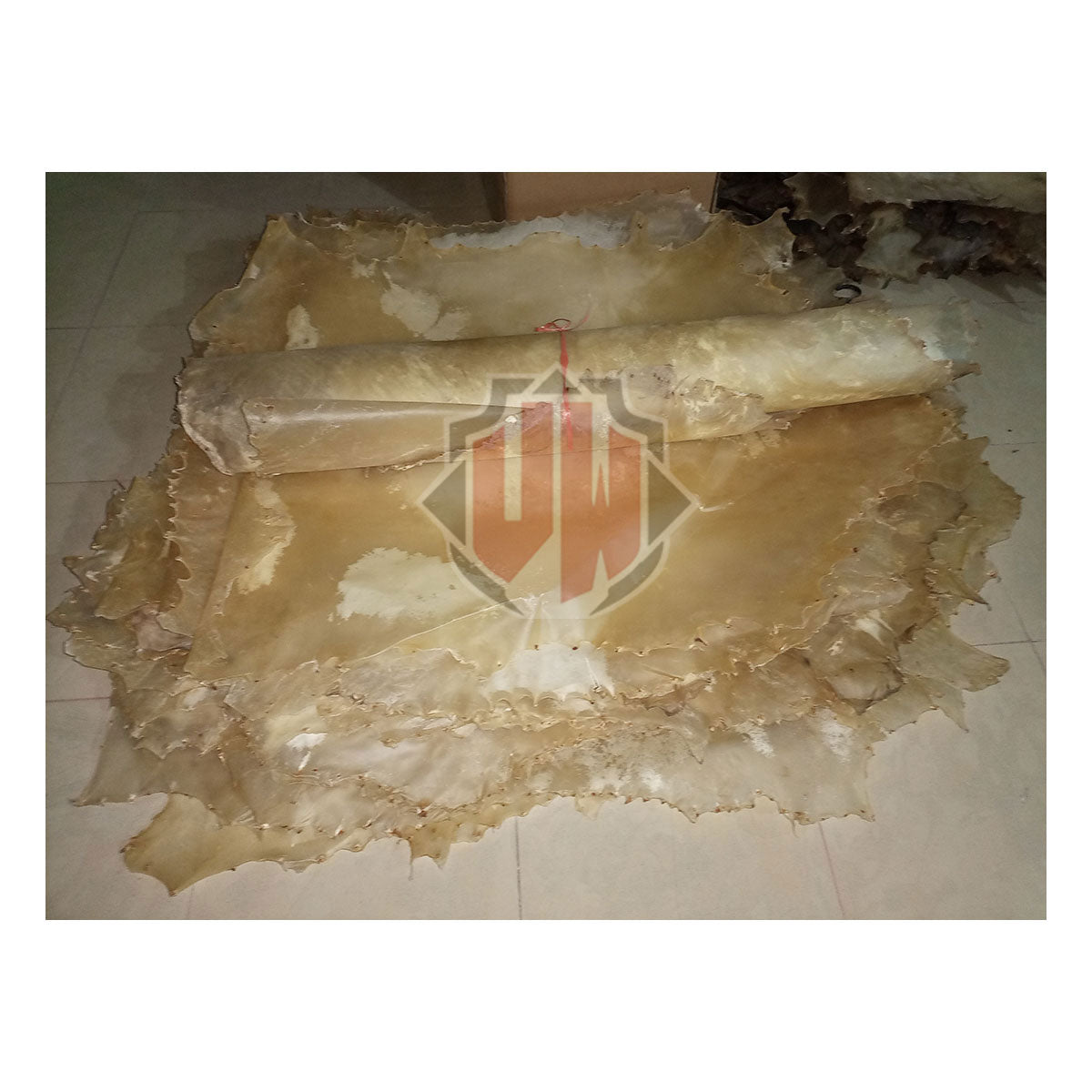 Full Animal Goat Skin For Drum