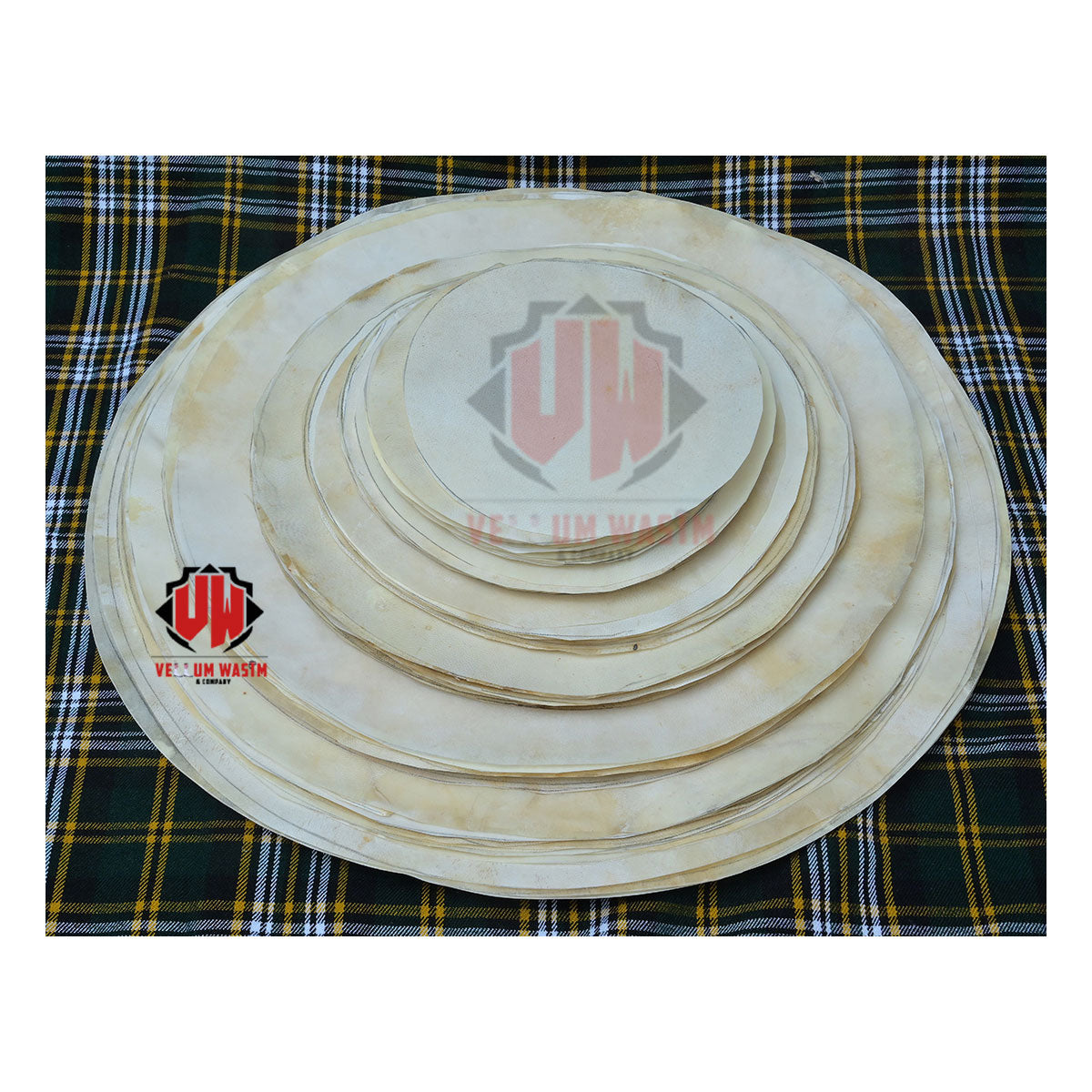 10-Pieces Natural Goat Skins Size 10 to 40 inch Medium / Thick Quality by VellumWasim