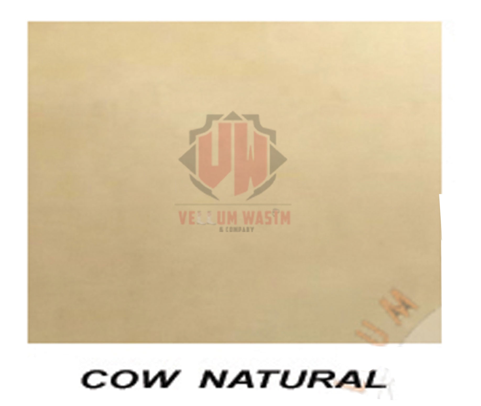 10-Pieces Natural Calf skins Various Size Vellum Parchment by vellumwasim