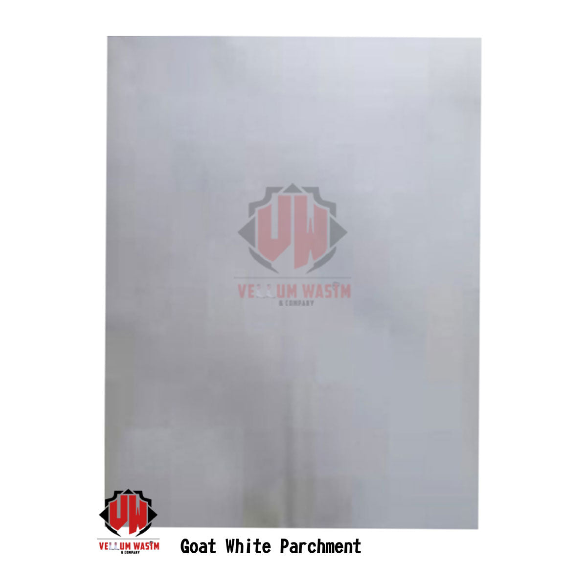 10-Pieces Goat Vellum Parchment in Various sizes & Quality for Calligraphy by VW