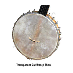 Transparent Calf Skins for Banjo