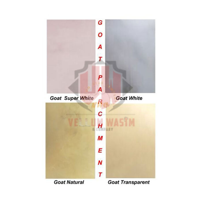 10-Pieces Goat Vellum Parchment in Various sizes & Quality for Calligraphy by VW