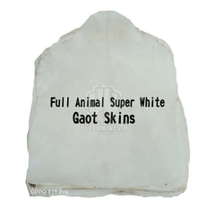10-Pieces Brand New Full Animal Super White Goat skins Medium / Thick by Vellum Wasim